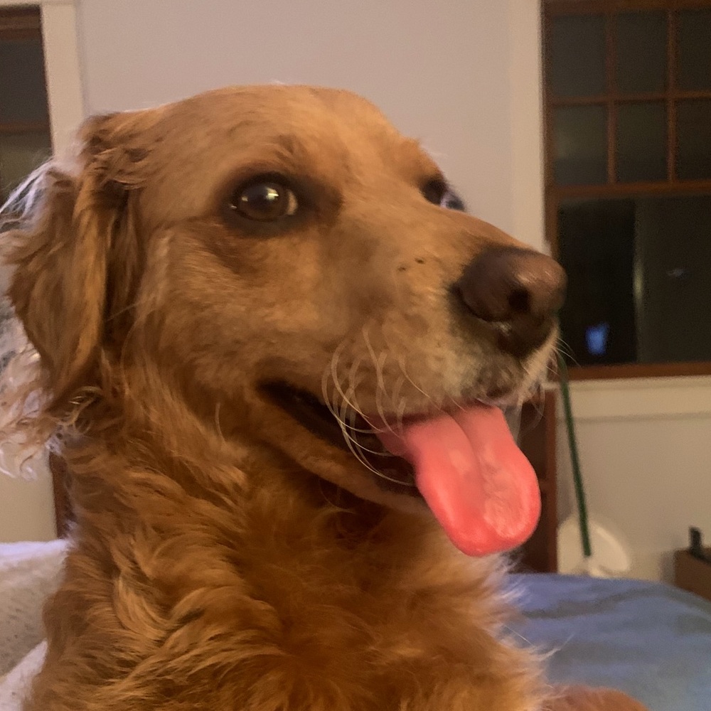 Meet your Posher, Emma